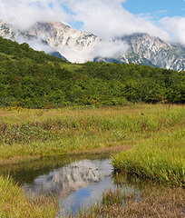 八方尾根自然歩道
