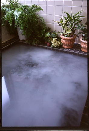 【料理自慢】☆地元食材を使った★本格フランスフルコース料理プラン★手作りデザート付き☆ 