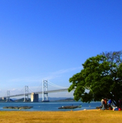 海水浴場