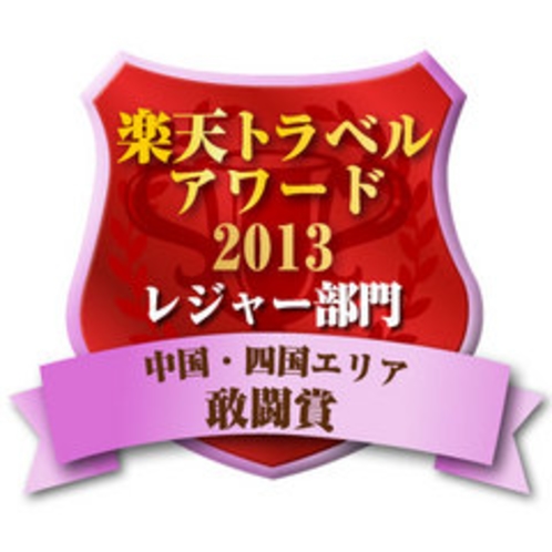 アワード敢闘賞2013