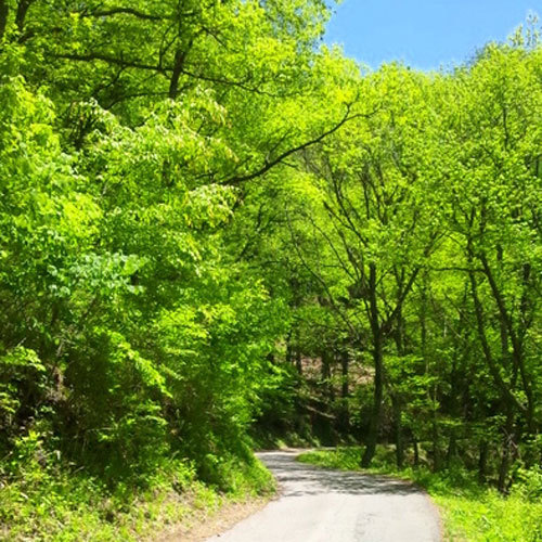 蓼科温泉 蓼科グランドホテル滝の湯 格安予約 宿泊プラン料金比較 トラベルコ