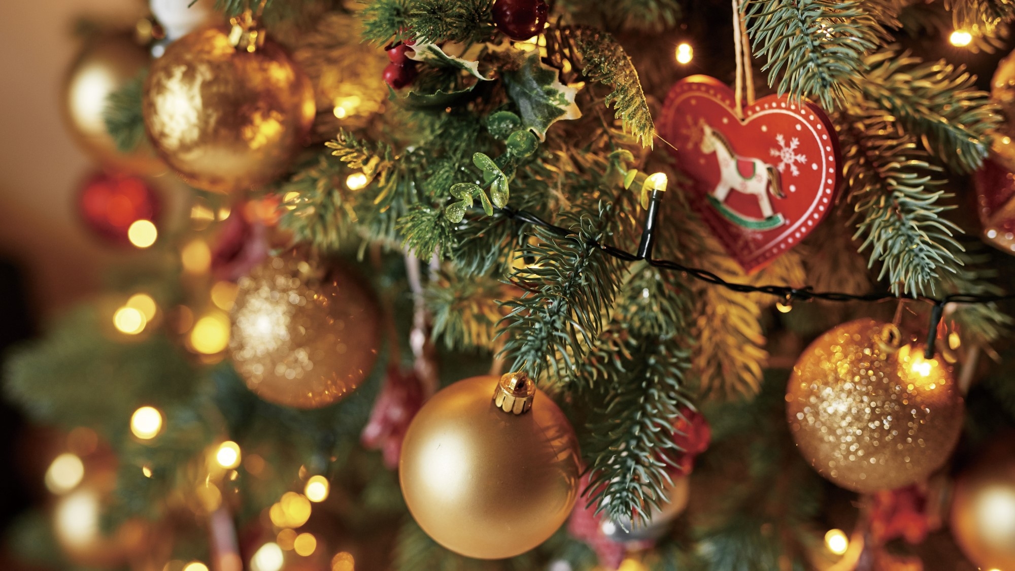 大切な人と過ごすクリスマス　スイートステイ（夕朝食付き）