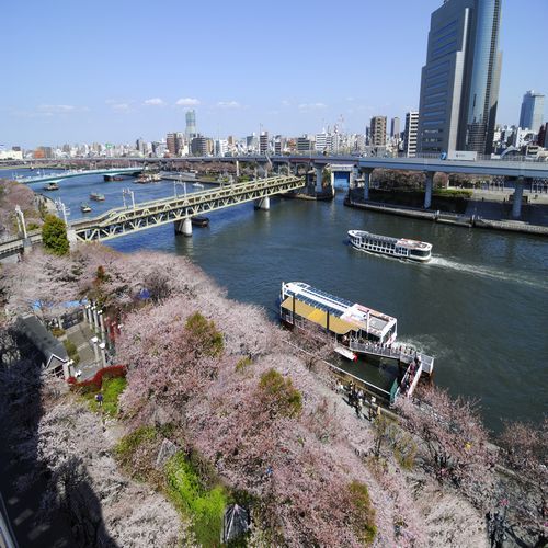 展望大浴場あさひ湯　ドーミーインＥＸＰＲＥＳＳ浅草（ドーミーイン・御宿野乃　ホテルズグループ） - 写真 103
