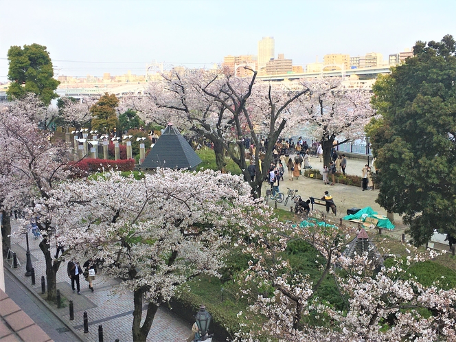 2021年3月　リバーサイド客室からの桜(イメージ)