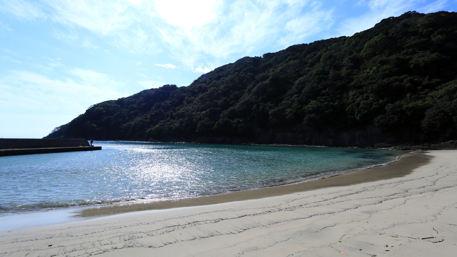 【夏休み◆スタンダード】鍋田浜まで徒歩5分★海の幸ごちそうコース♪