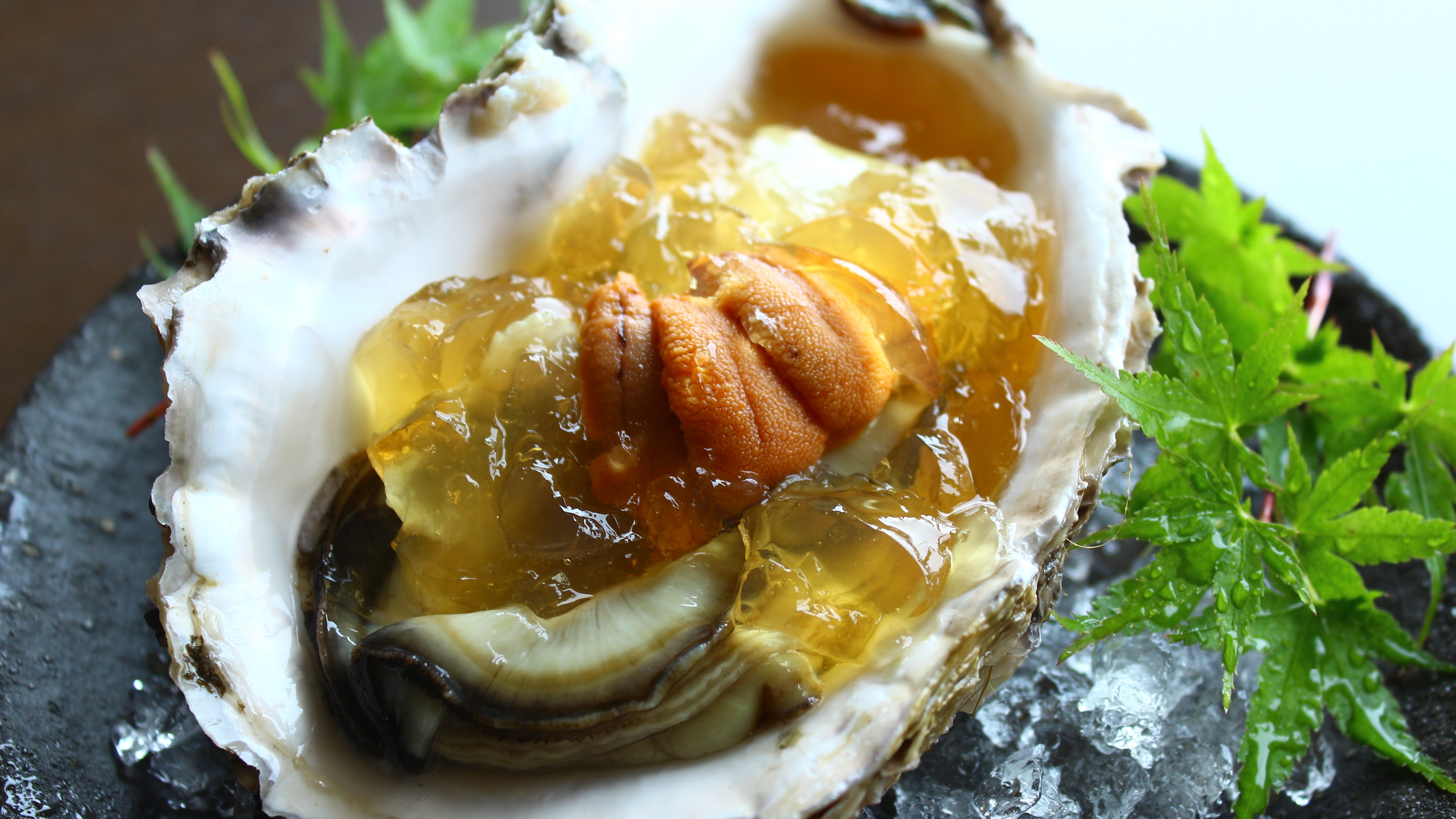 間人温泉郷 昭恋館 よ志のや 宿泊予約 楽天トラベル 間人温泉郷 昭恋館 よ志のや 宿泊予約 楽天トラベル