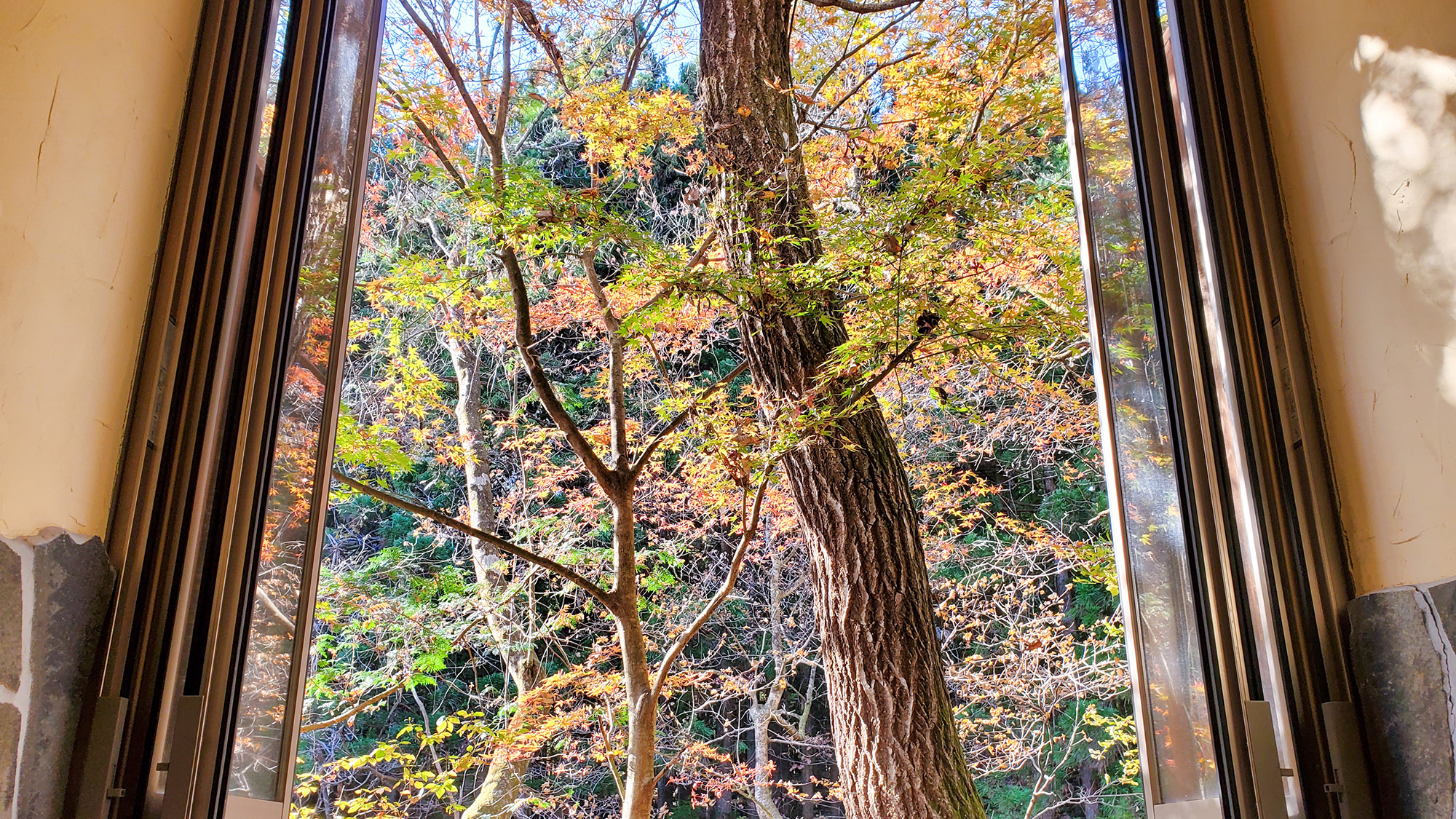 #風呂　窓一面がキャンバスになったような、秋にしか見られない特別な景色。