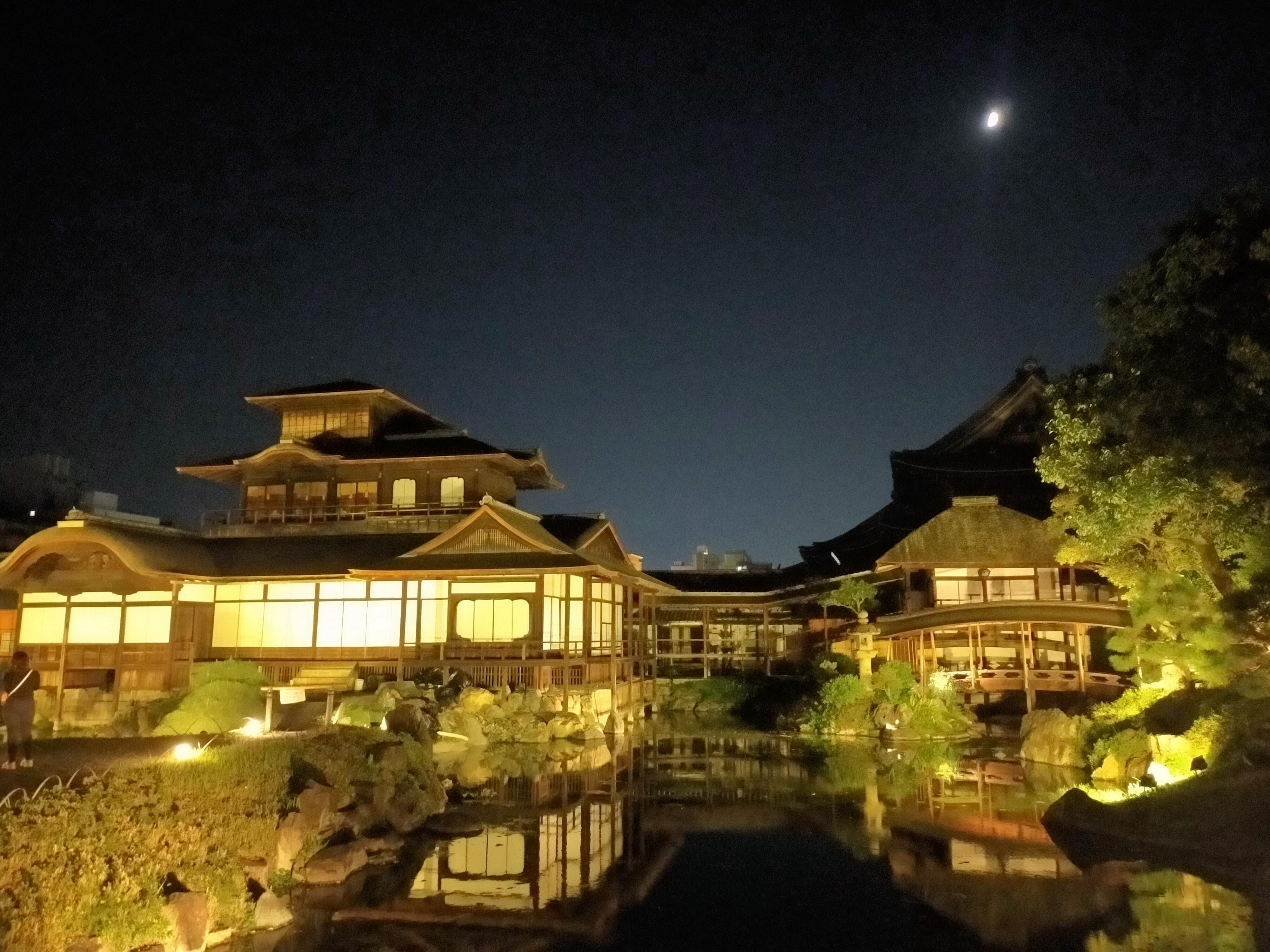ライトアップ飛雲閣（特別拝観）