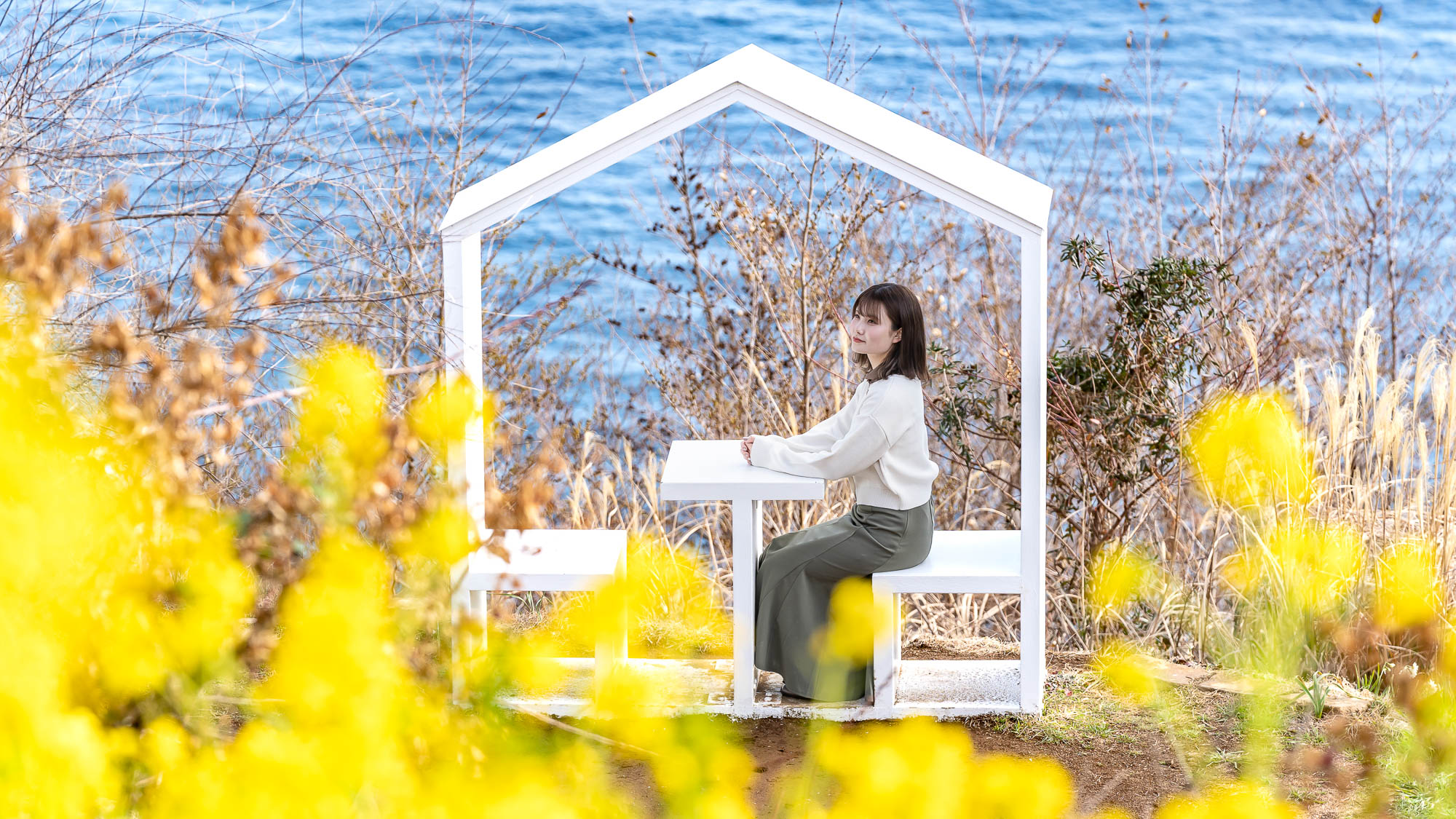 ACAO FOREST_フレームハウス