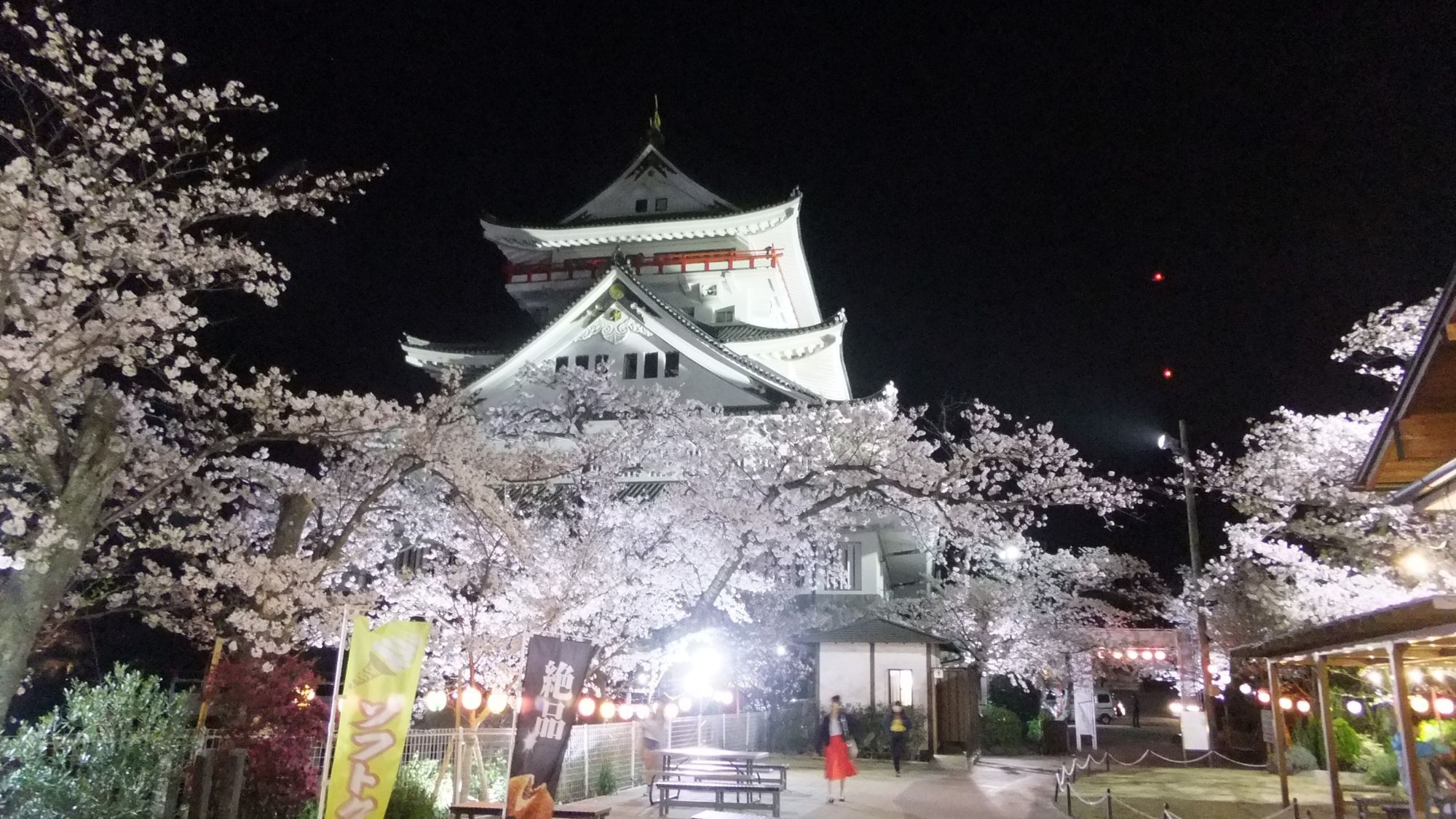 熱海城・夜桜