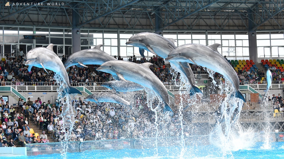 【アドベンチャーワールド入園券付】＜和室・波の綾フロア×なごみ会席＞白浜でパンダに出会う感動体験／和