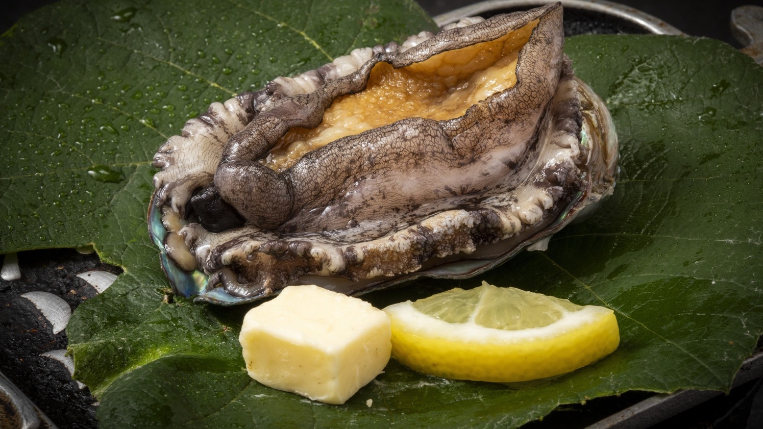 【海宝づくし 11品】海鮮づくし！鮑踊り焼き×旬のお造り５選×海の恵みを味わう海宝鍋