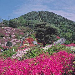 小室山つつじ公園