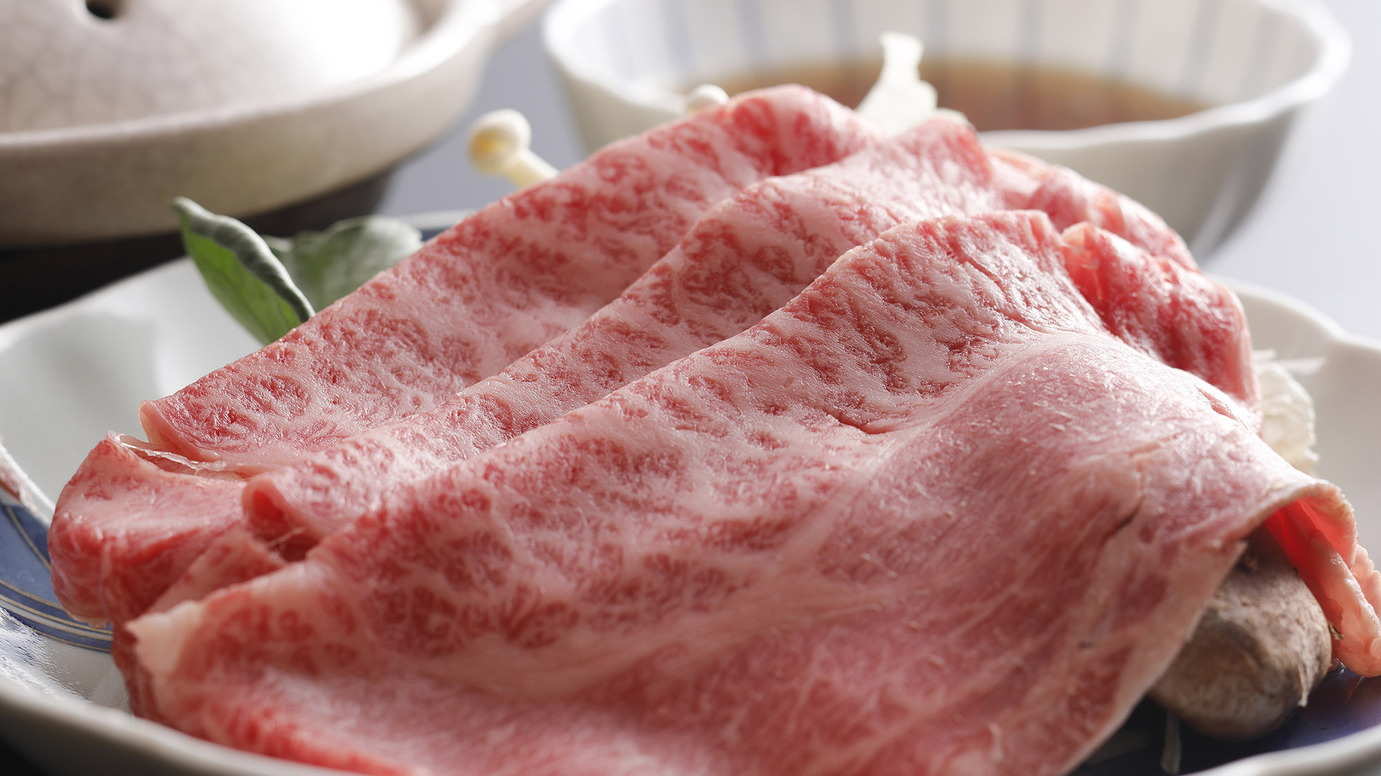 【欲張り2食付】京都丹波牛のステーキ・しゃぶしゃぶ・日本海の海の幸！食いしん坊さんも大満足