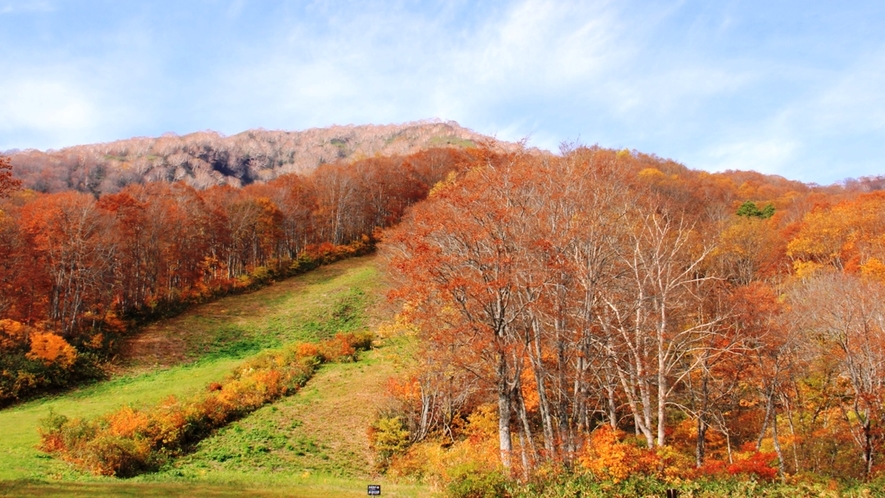 スカイケーブル山頂_紅葉