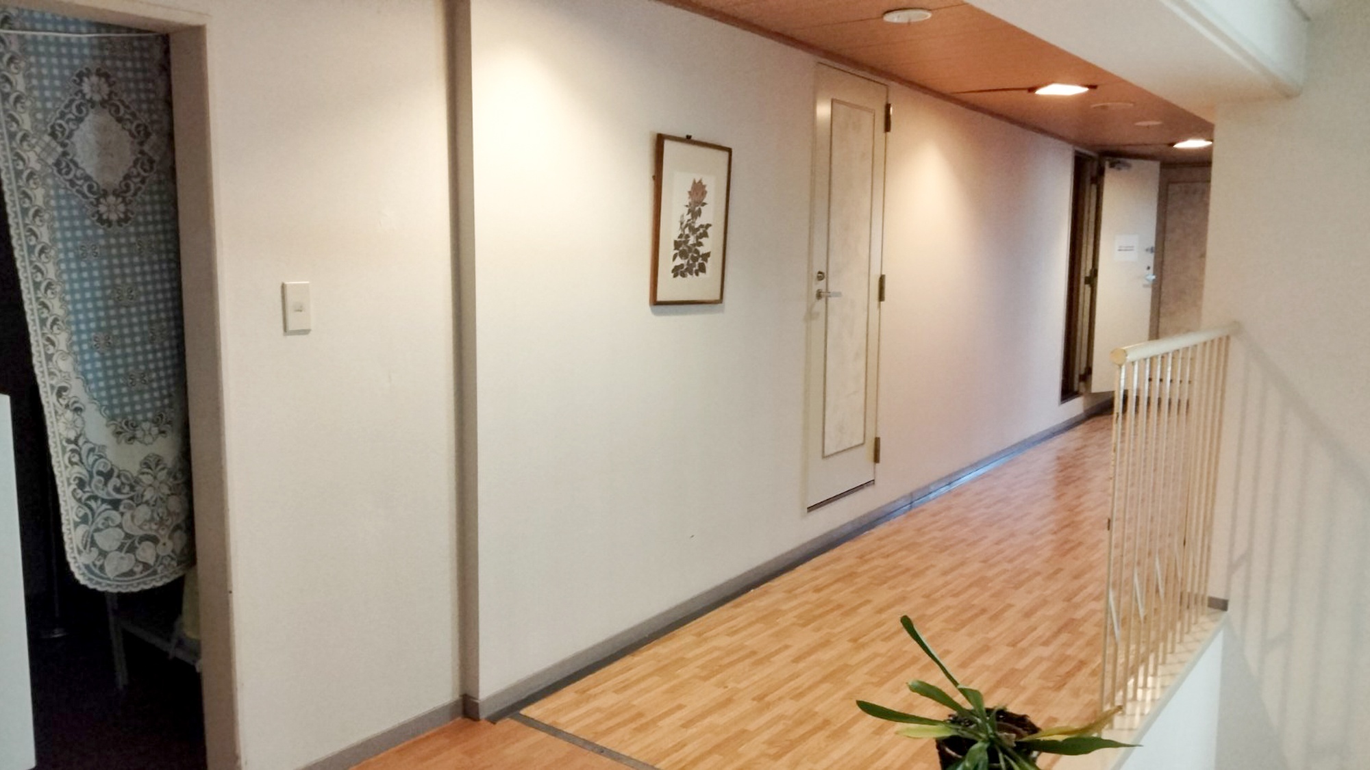 ・【廊下】明るく開放的な雰囲気の廊下。お部屋をご確認のうえお進みください