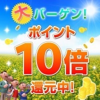 【楽天限定ざくざく貯まる♪】楽天スーパーポイント10倍！【朝食バイキング付きプラン】