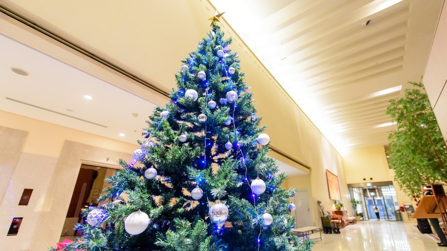 25th anniversary☆オーセントホテル小樽 クリスマス宿泊プラン【夕食付】