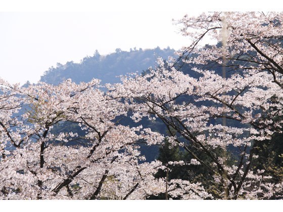 ビジネスホテル　ほまれ - 写真 73