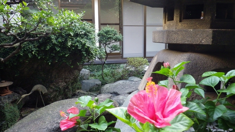 【訳あり】少しのワケでとってもお得♪眠るだけなら問題なし!？素泊りプラン【現金特価】