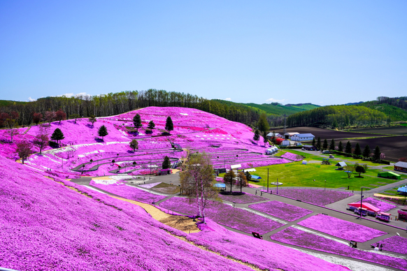 【早割15】【素泊まり】網走駅より徒歩10分！コンビニ・繁華街まで徒歩圏内という好立地！（通年）