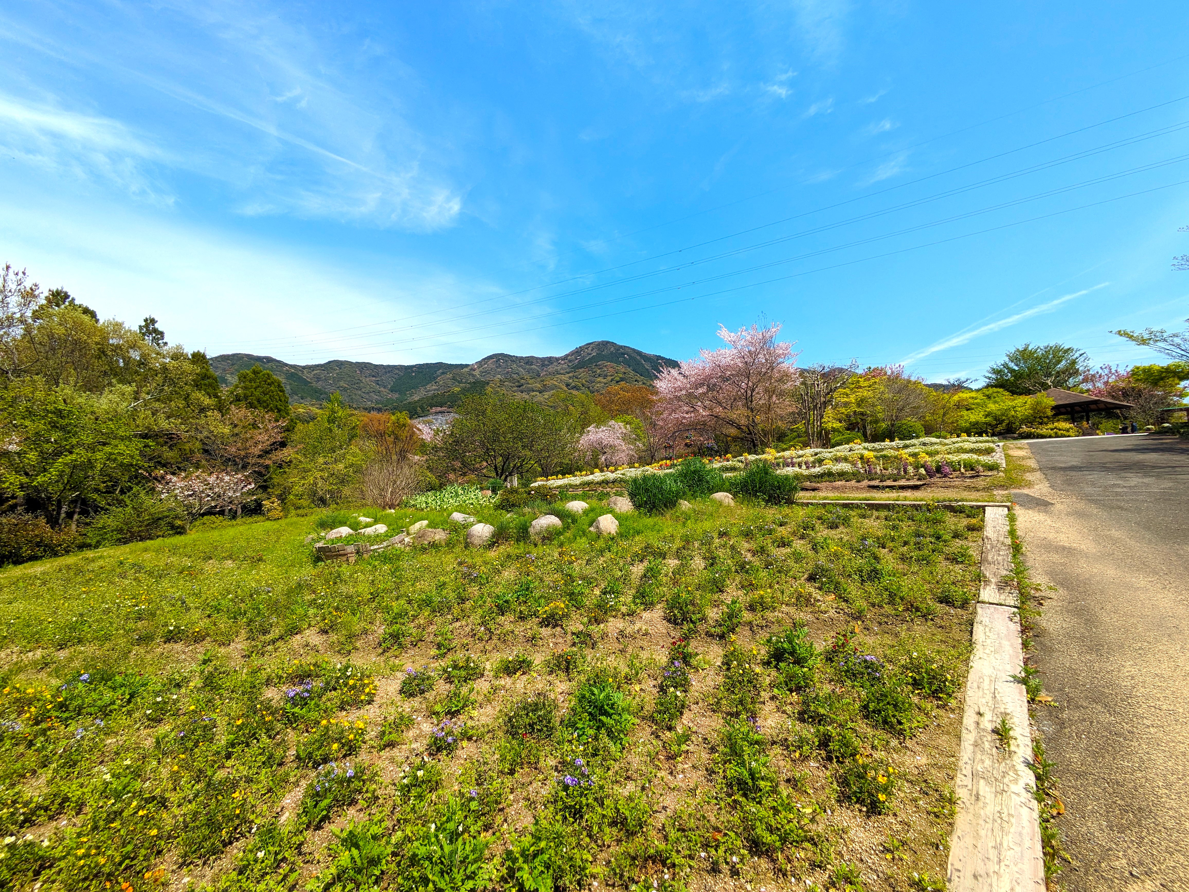 花公園_with福知山