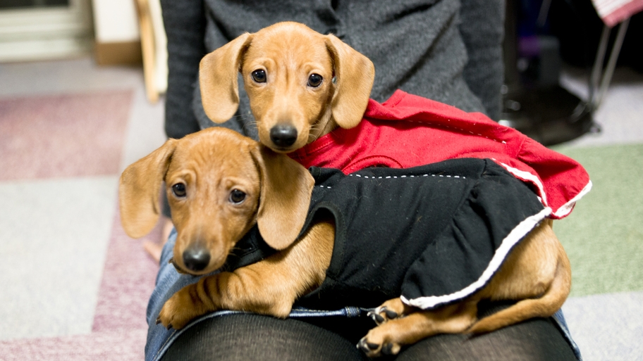 時間を気にせず遊びたい！！素泊まりプラン♪