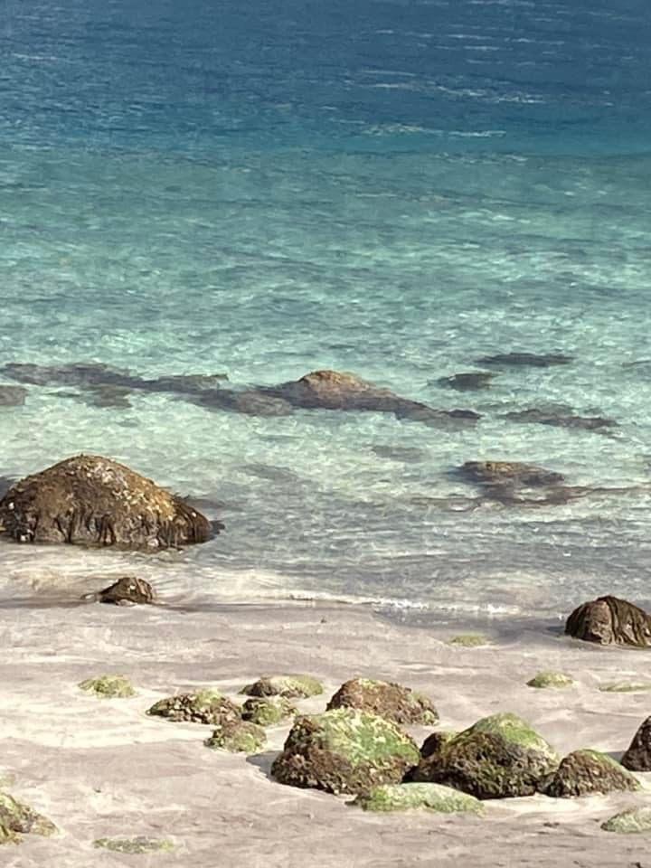 【素泊り】海の見える大浴場　大浴場24時間入浴可　チェックイン21時まで　コンビニ2分　駐車場無料