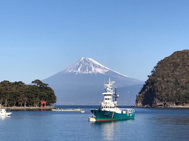 旅の朝はのんびり【１泊夕食のみ】豪華磯料理☆海の幸をご堪能　チェックアウト10：00までごゆっくり