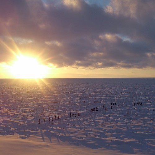 【風景】夕暮れ時の流氷ウォークは幻想的です。