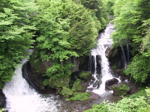 ファミリー特別プラン【5室限定 小学生2名まで無料】 