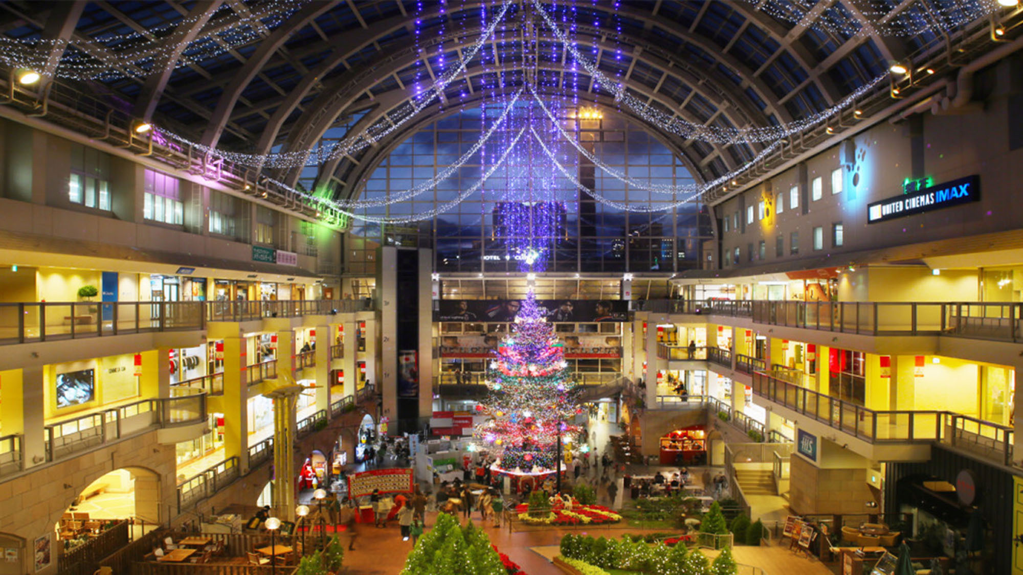 心躍るキラキラ、クリスマスツリー点灯式がやってくる！