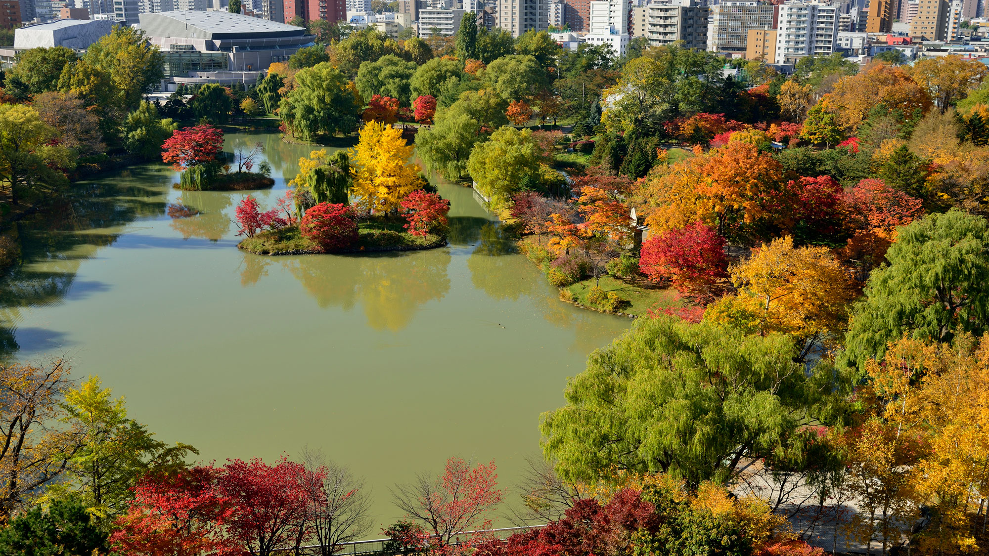 秋晴れした空と、中島公園の紅葉が鮮やか