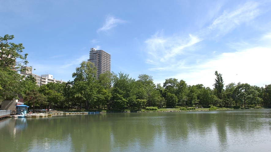 中島公園　澄んだ青い空！　お散歩にぴったりです。