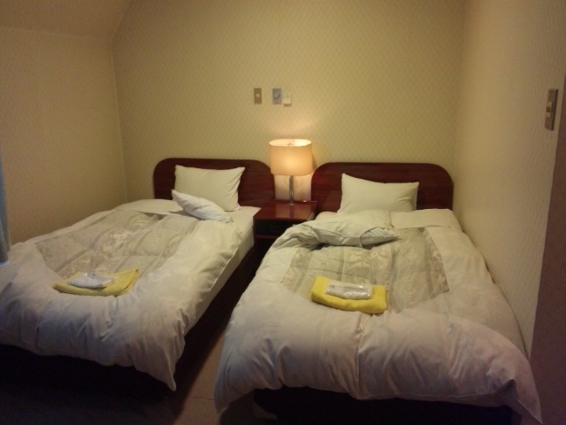 Twin room (example)
