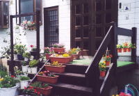 玄関先の花壇