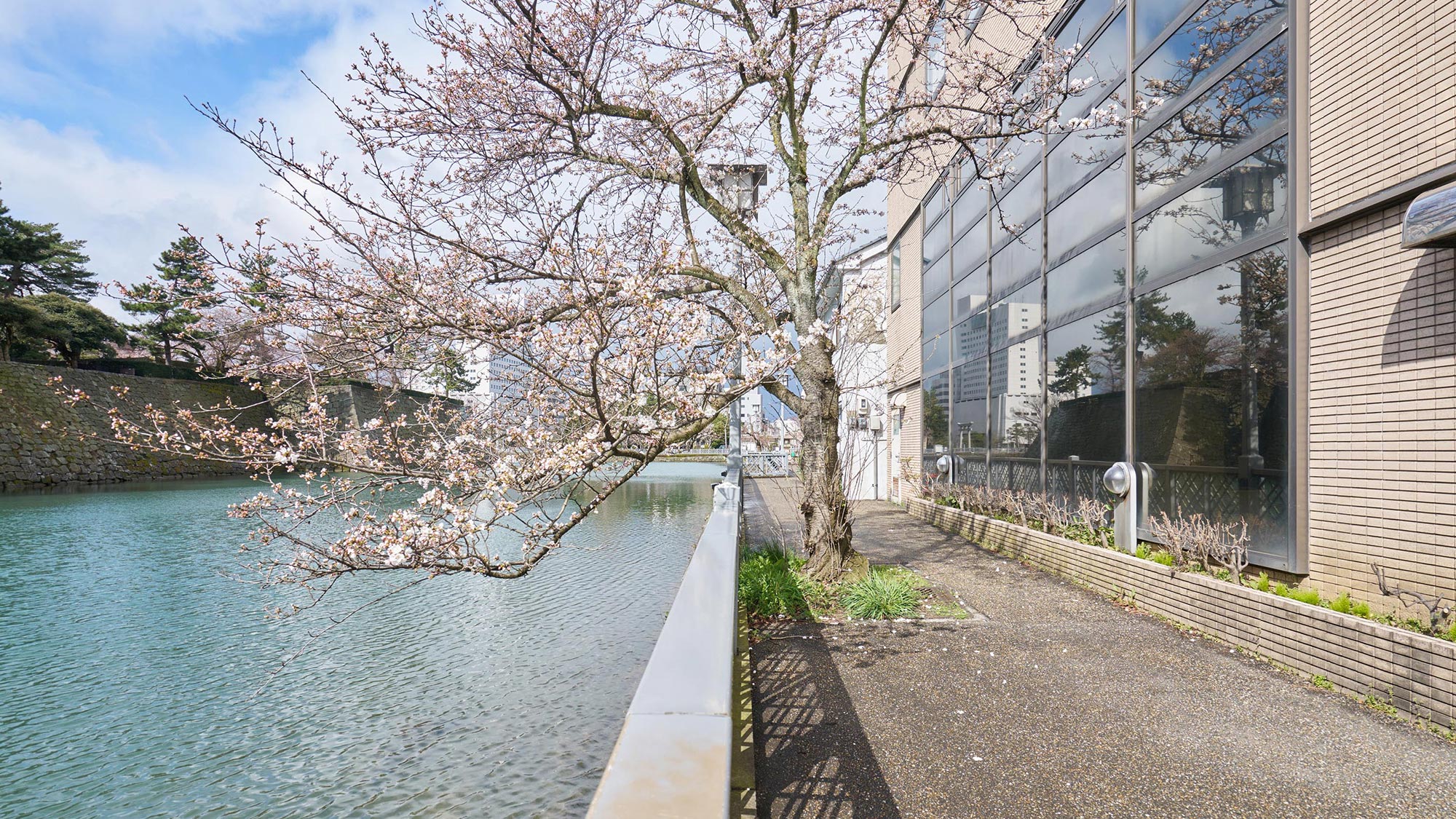 ・【周辺】ホテルのすぐそばに広がる美しいお堀と桜並木。四季折々の自然に癒されるロケーションが魅力です