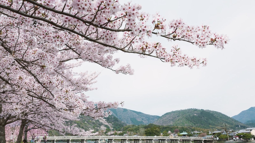 渡月橋