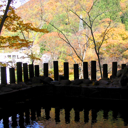 写真1