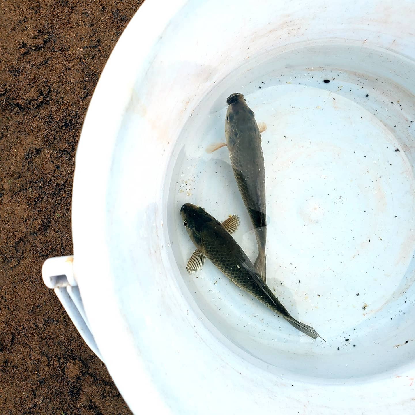 ＜施設内常設＞「もんじゃ池」で釣り体験