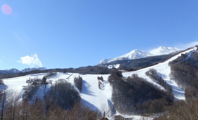  白い濁り湯、源泉掛け流しの温泉を楽しもう　トイレ・洗面付和室 　