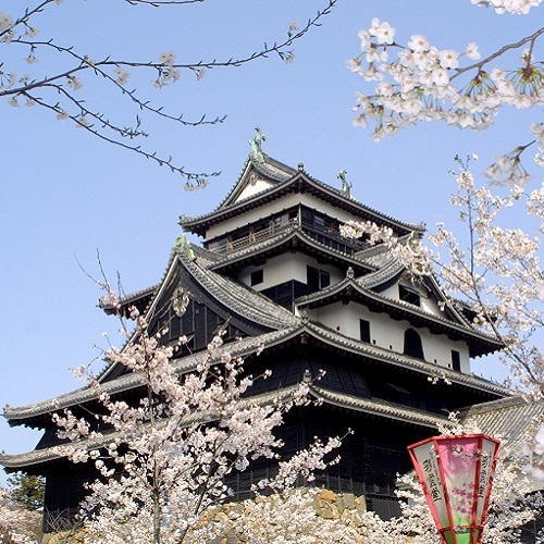 野津旅館 - 写真 101