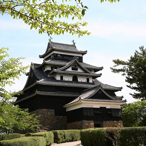 野津旅館 - 写真 100