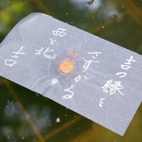 野津旅館 - 写真 110