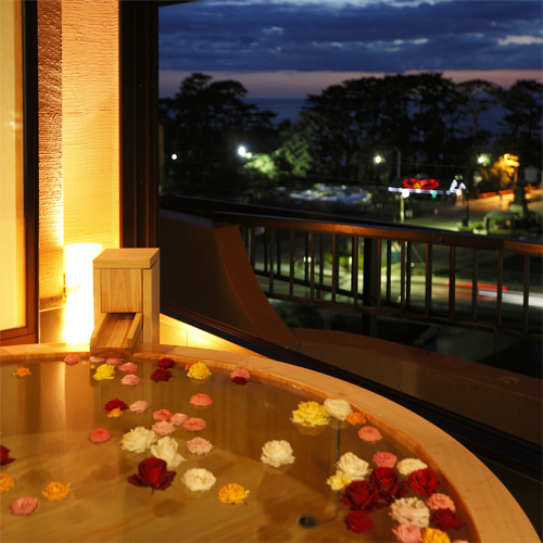 [Guest room] View
