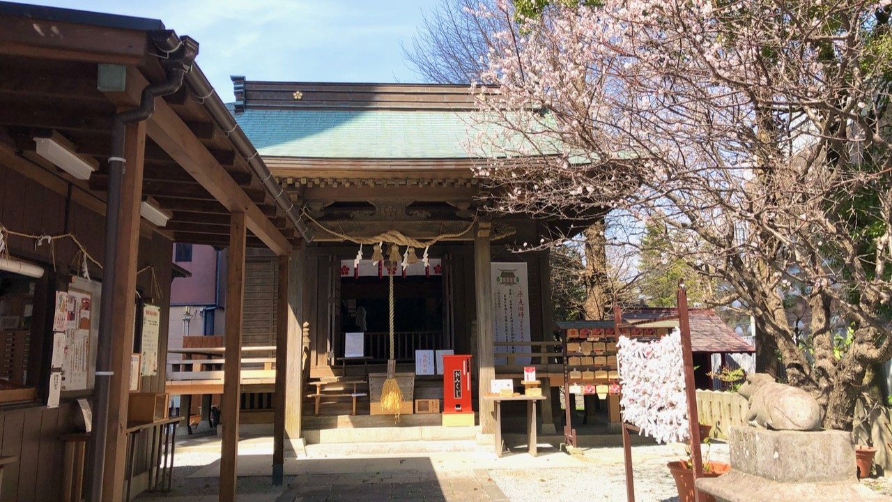 【朝食付】＜受験生応援プラン＞合格祈願特典＆軽食（カツサンド）付き