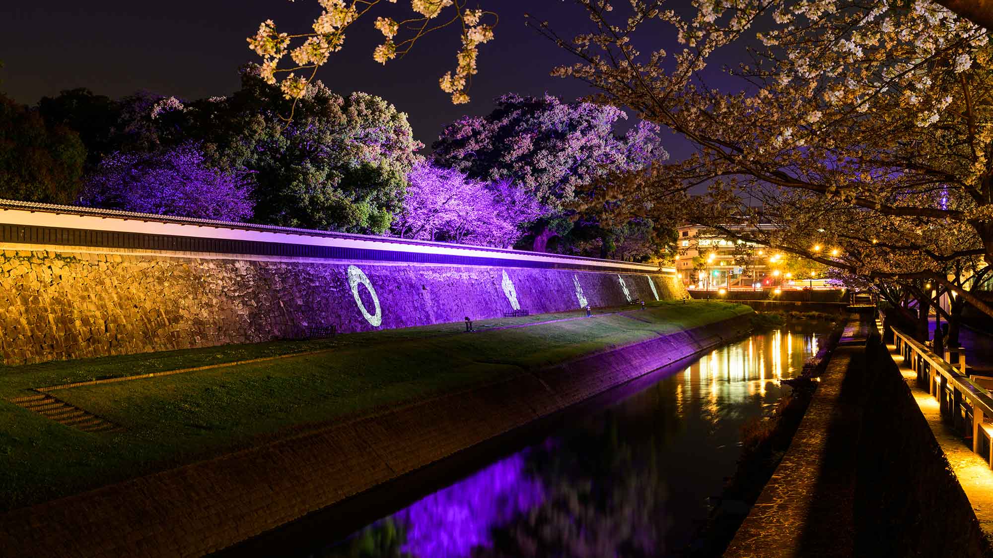 【景色】春のお城まつりでは夜間公開、桜のライトアップが行われ、幻想的な景色を楽しむことができます。