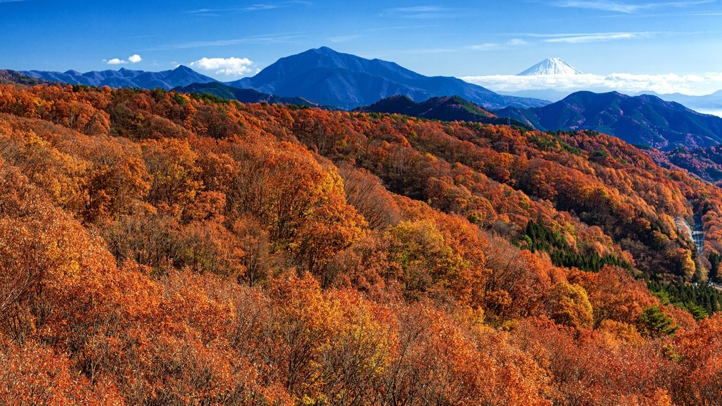 【秋の味覚満載】選べるドリンク特典あり♪実りの季節を満喫する2食付きプラン