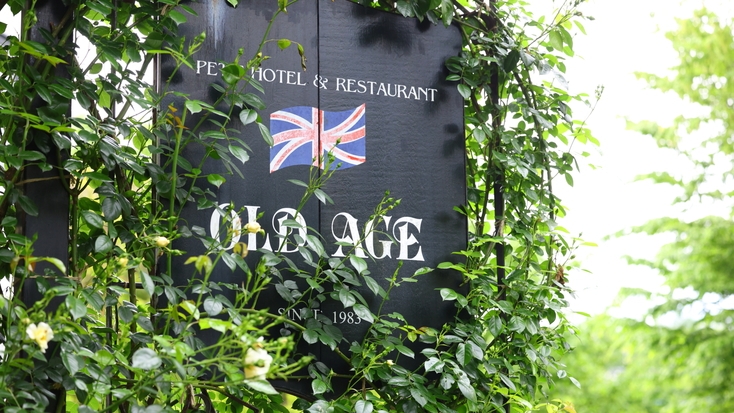 【10％OFF】【楽天スーパーSALE】2食付／欧風創作料理フルコースディナーとボリューム満点の朝食