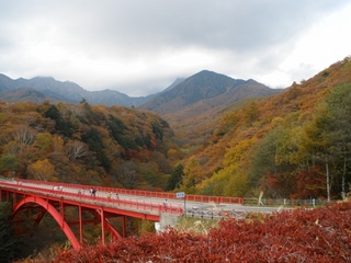 清里高原の紅葉１